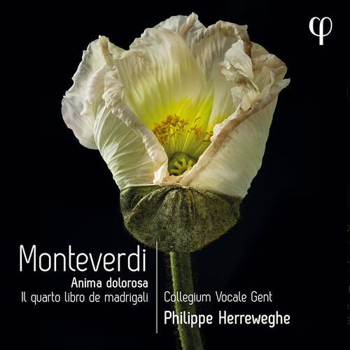 Screenshot 2026-03-15 at 20.54.31