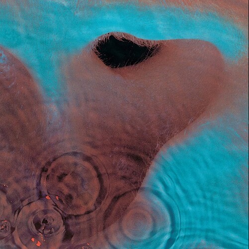 Screenshot 2023-07-22 at 13.40.51