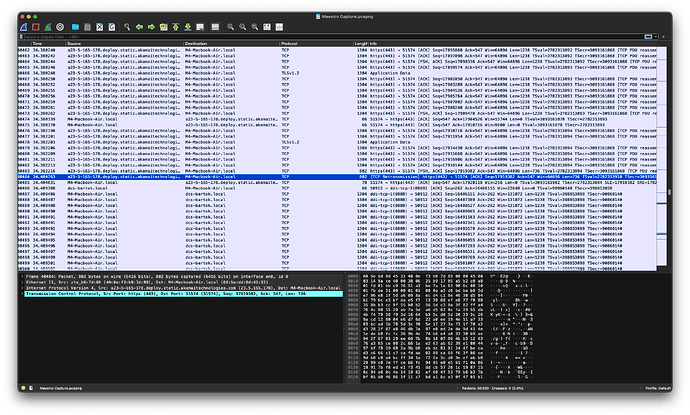 Maestro Wireshark Session