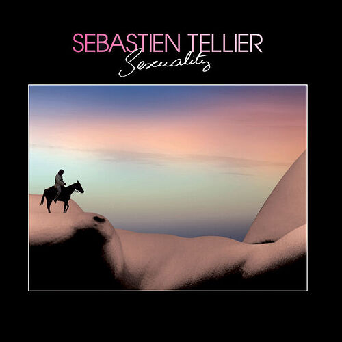 Sébastien Tellier, Sexuality