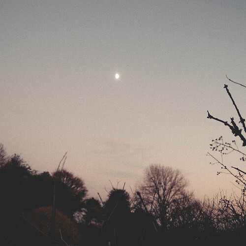 Rachel-Sermanni_Dreamer-Awake_album-cover