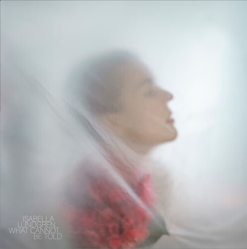 Screenshot 2025-08-03 at 11.04.40