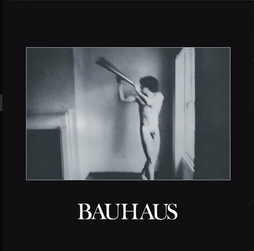Bauhaus - In the Flat Field