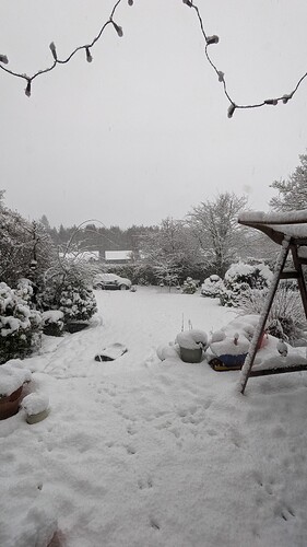 PXL_20260103_092310485