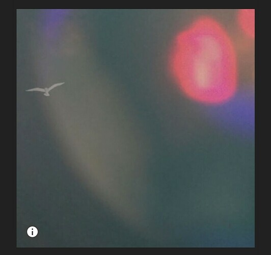 Screenshot_20250131_210526